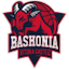 teamLogo